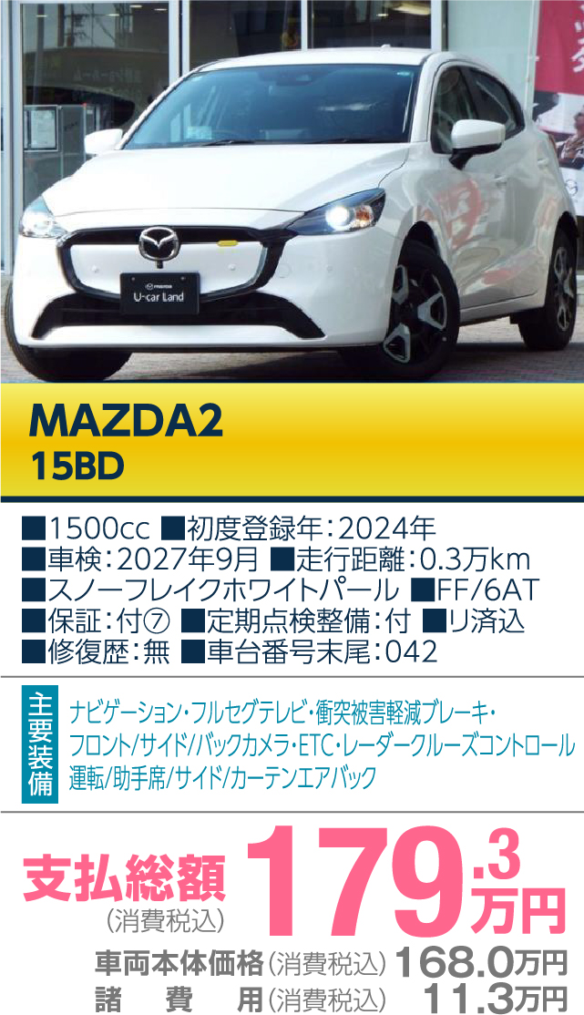 甲信マツダの厳選おすすめ車 1